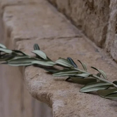 Nedjeljne (tjedne) obavijesti